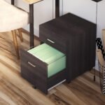 Mobile File Cabinet with 2 Drawers, Locking, Rolling Office Filing Cabinet on 5 Wheels, Black
